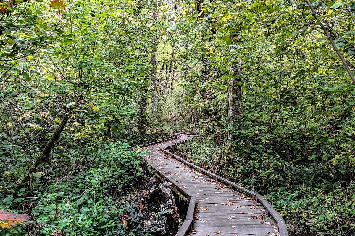 Tryon Creek Trails in Portland Oregon