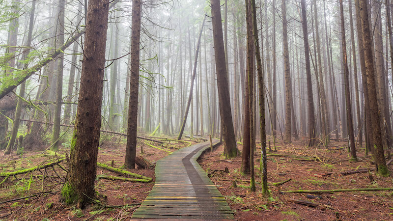 Rosemont Trail in Lake Oswego, OR