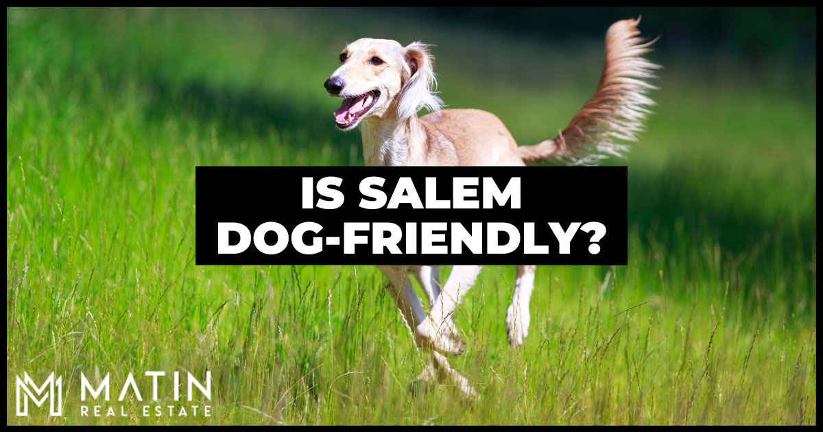 Things to Do With Dogs in Salem, OR
