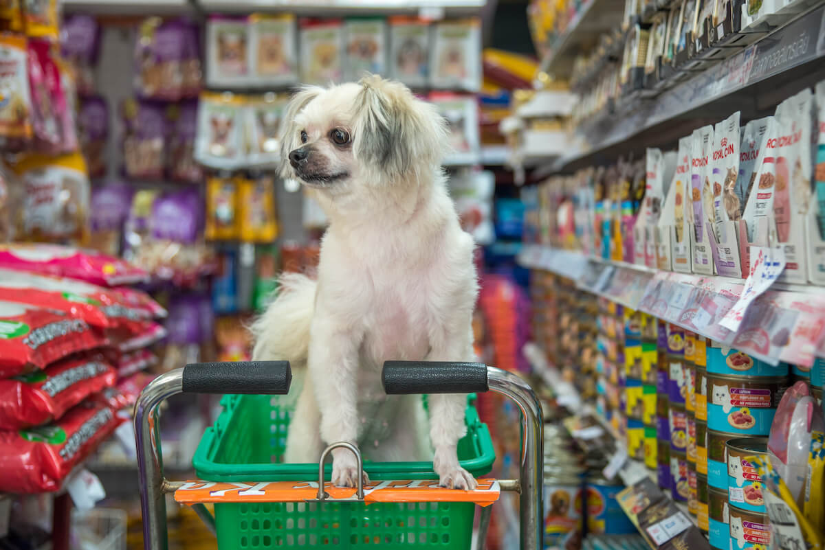 Best Pet Stores in Vancouver WA