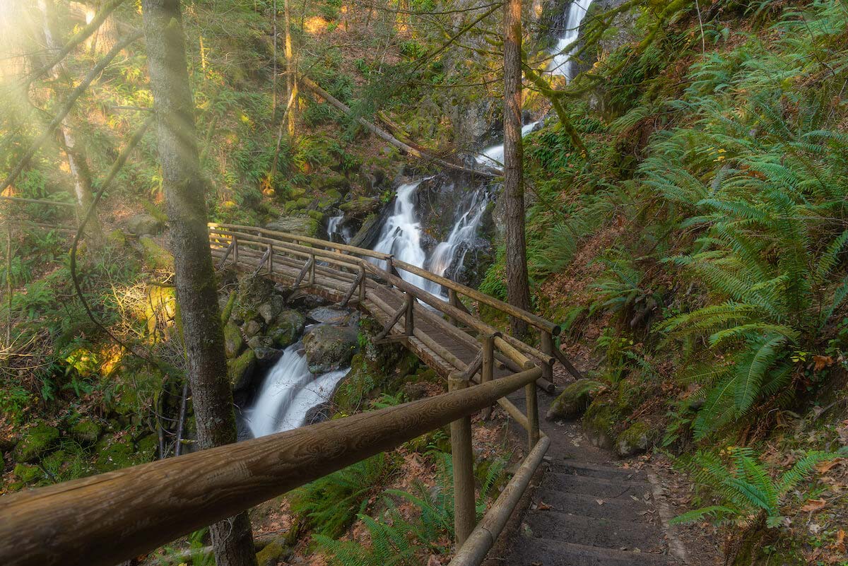 Vancouver Hiking Trails