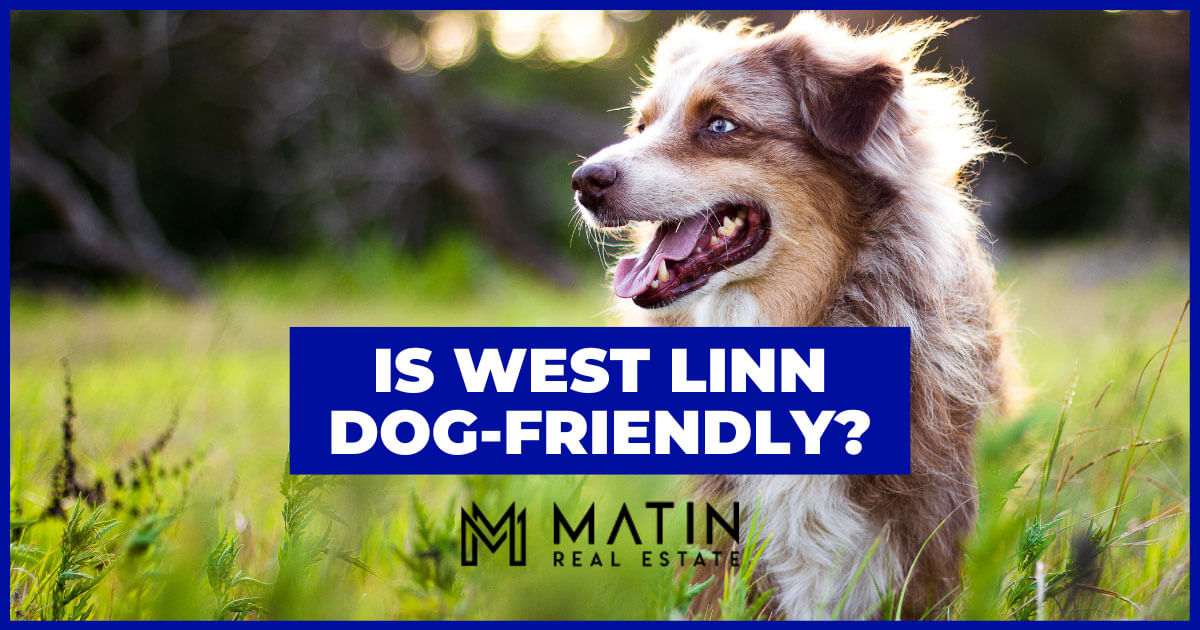 Dog Parks and Things to Do With Dogs in West Linn