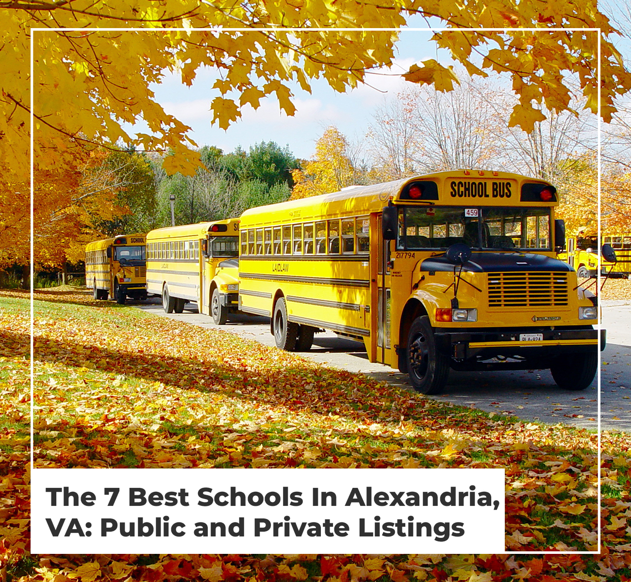 The 7 Best Schools In Alexandria, VA: Public And Private Listings