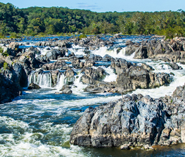 Top 8 Reasons To Live In Great Falls, Virginia