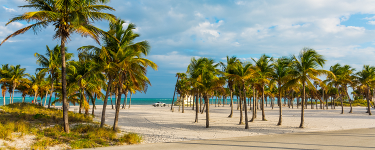 Living in Key Biscayne, FL: The Picturesque Barrier Island