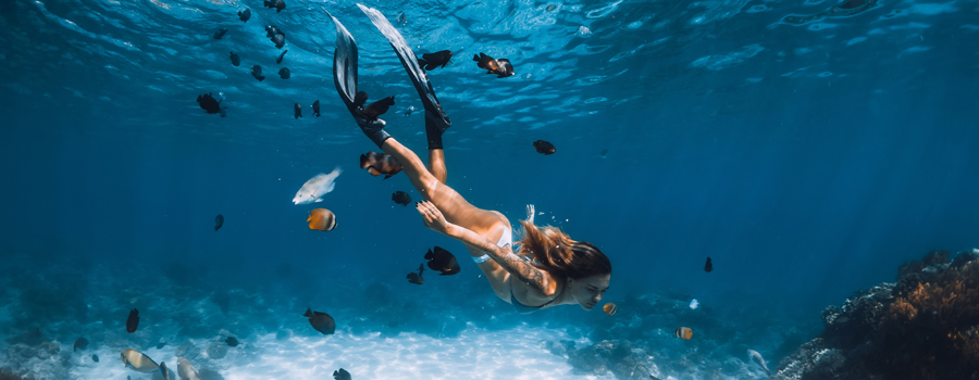 Things To Do - Snorkeling