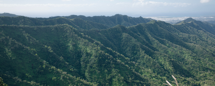 Kaneohe HI living