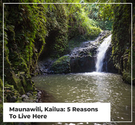 Maunawili, Kailua: 5 Reasons To Live Here [2022 Edition]