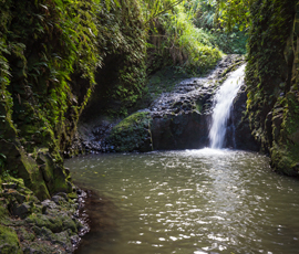 Maunawili, Kailua: 5 Reasons To Live Here [2022 Edition]