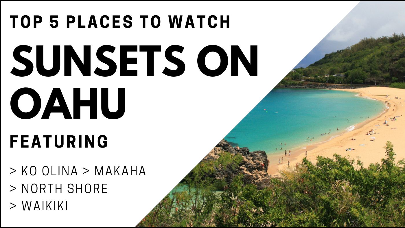 11 Best North Shore Oahu Beaches In Hawaii