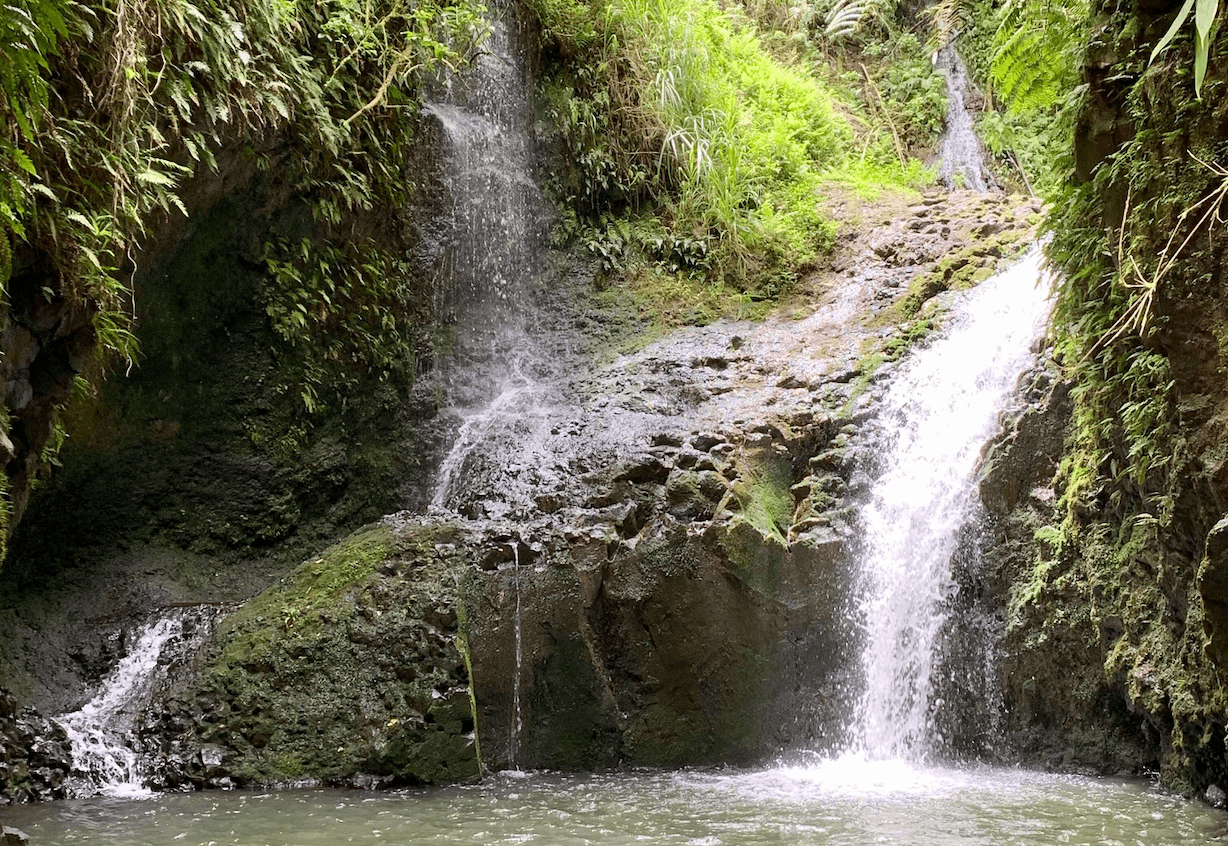maunawili trail to maunawili falls