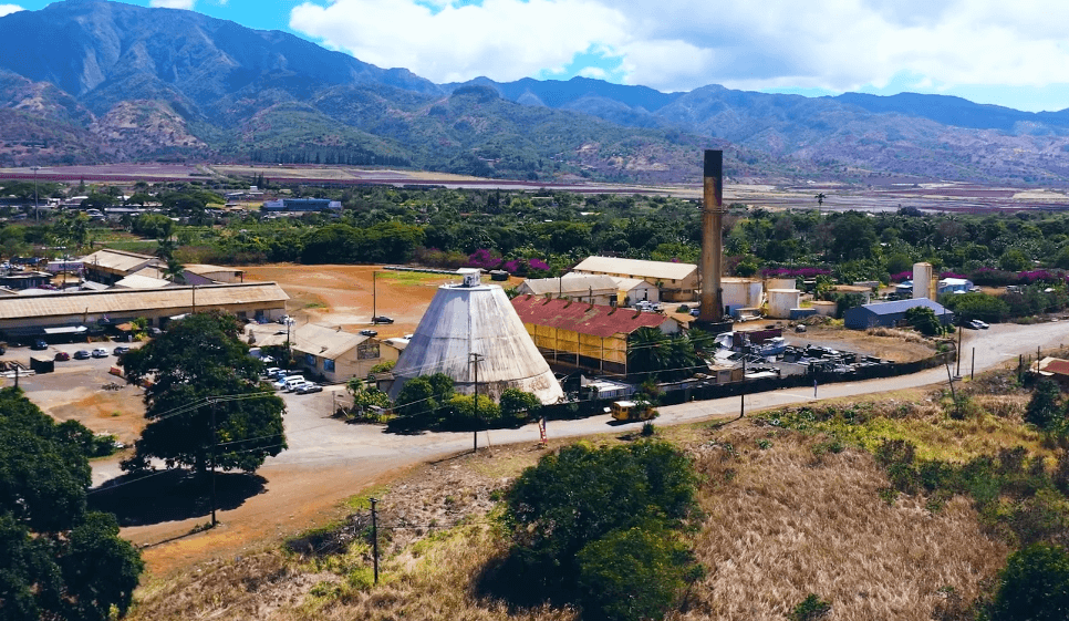 waialua sugar mill