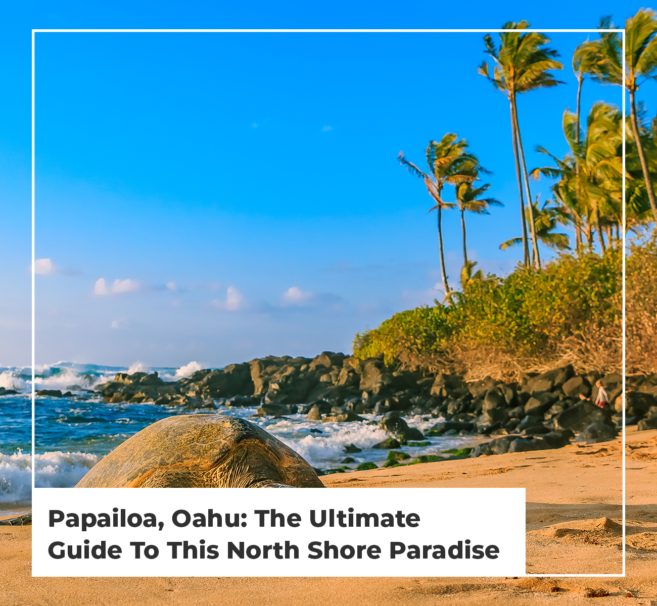 North Shore on Oahu - A Lush Coast Just 30 Minutes North of