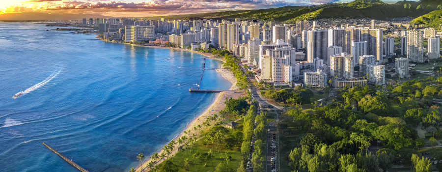 The Convenient Location - Honolulu
