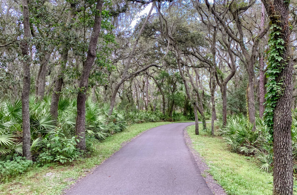 Check Out These 5 Must Visit Nature Parks In Tampa Bay