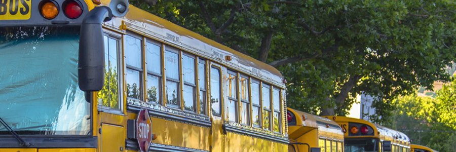 School Busses, Deer Valley, UT