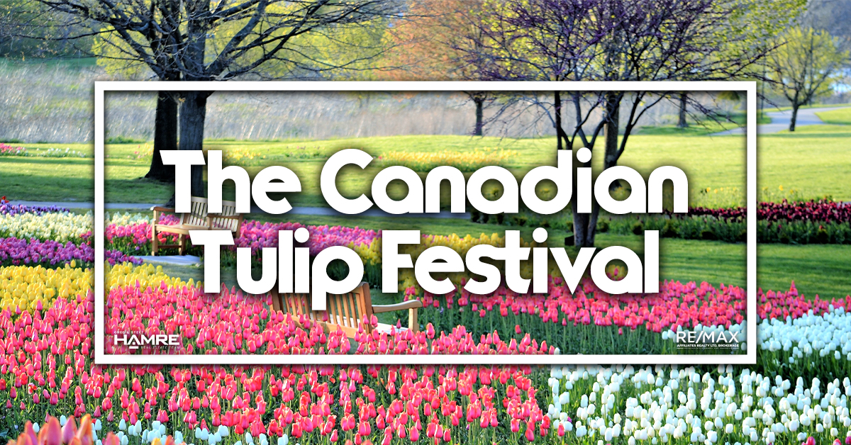 Tulip Festival Ottawa 2024 Dates Lian Rosaline