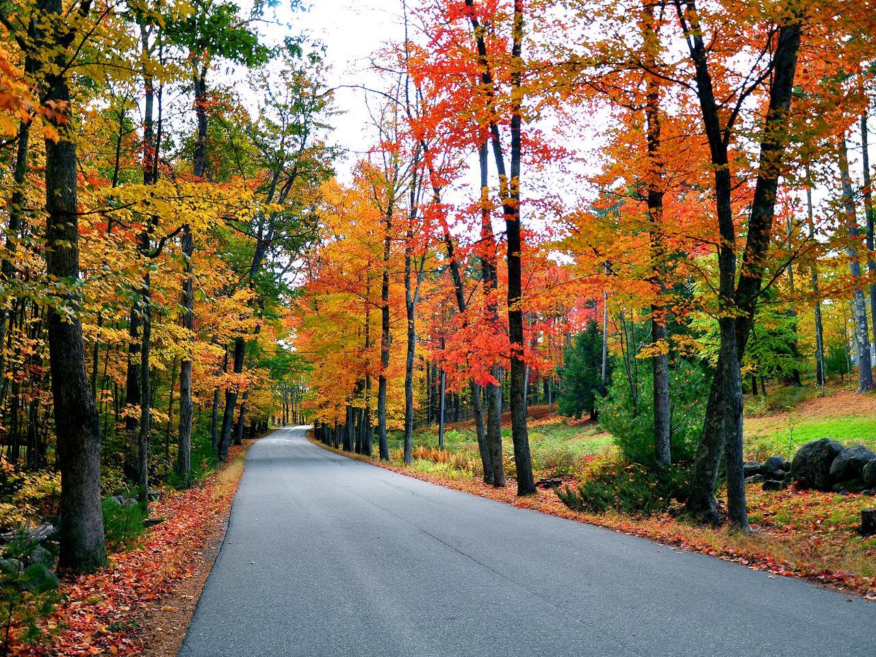 Autumn in Estill Springs TN