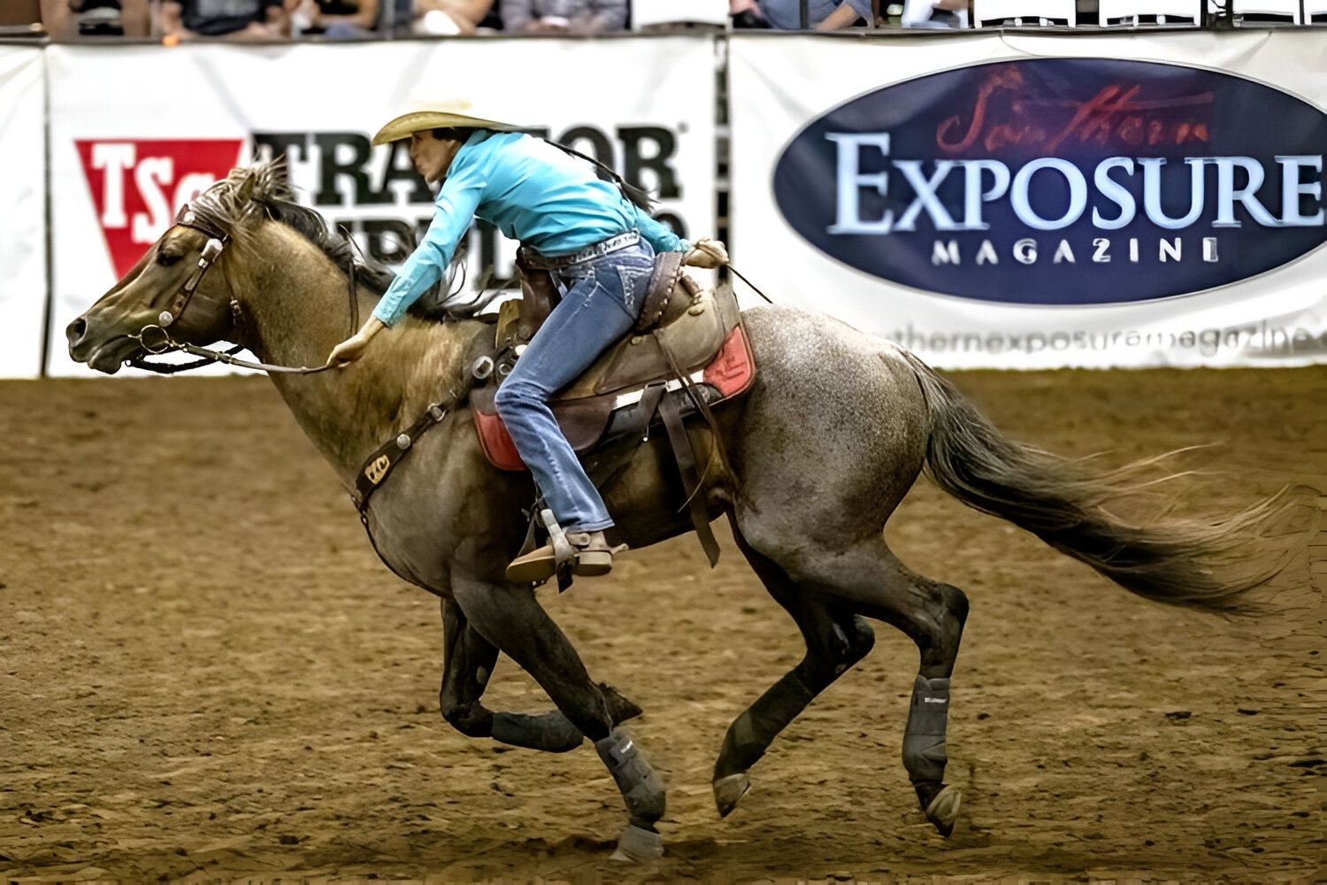 Nashville's Wild West A Guide to MustSee Rodeos