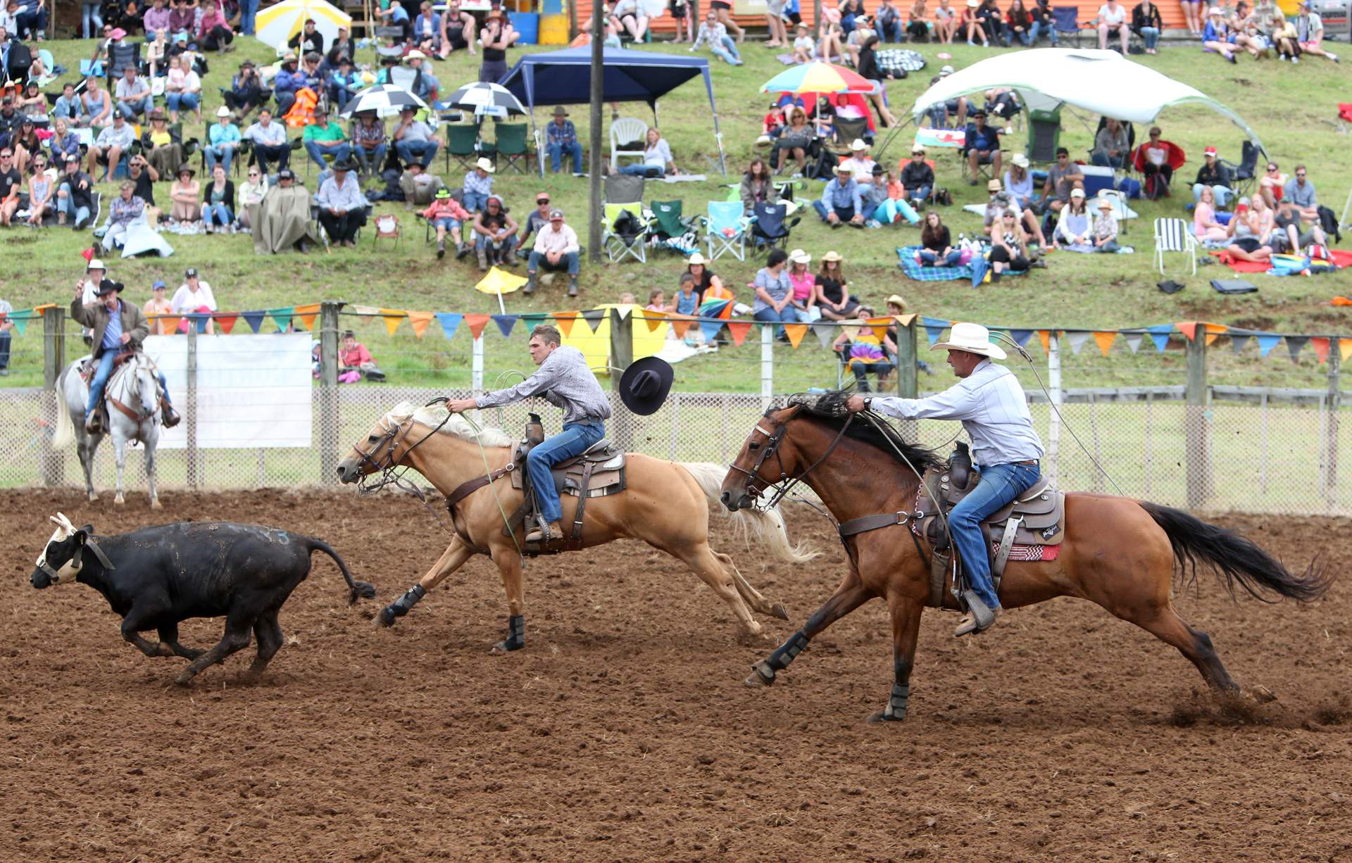 Nashville's Wild West A Guide to MustSee Rodeos