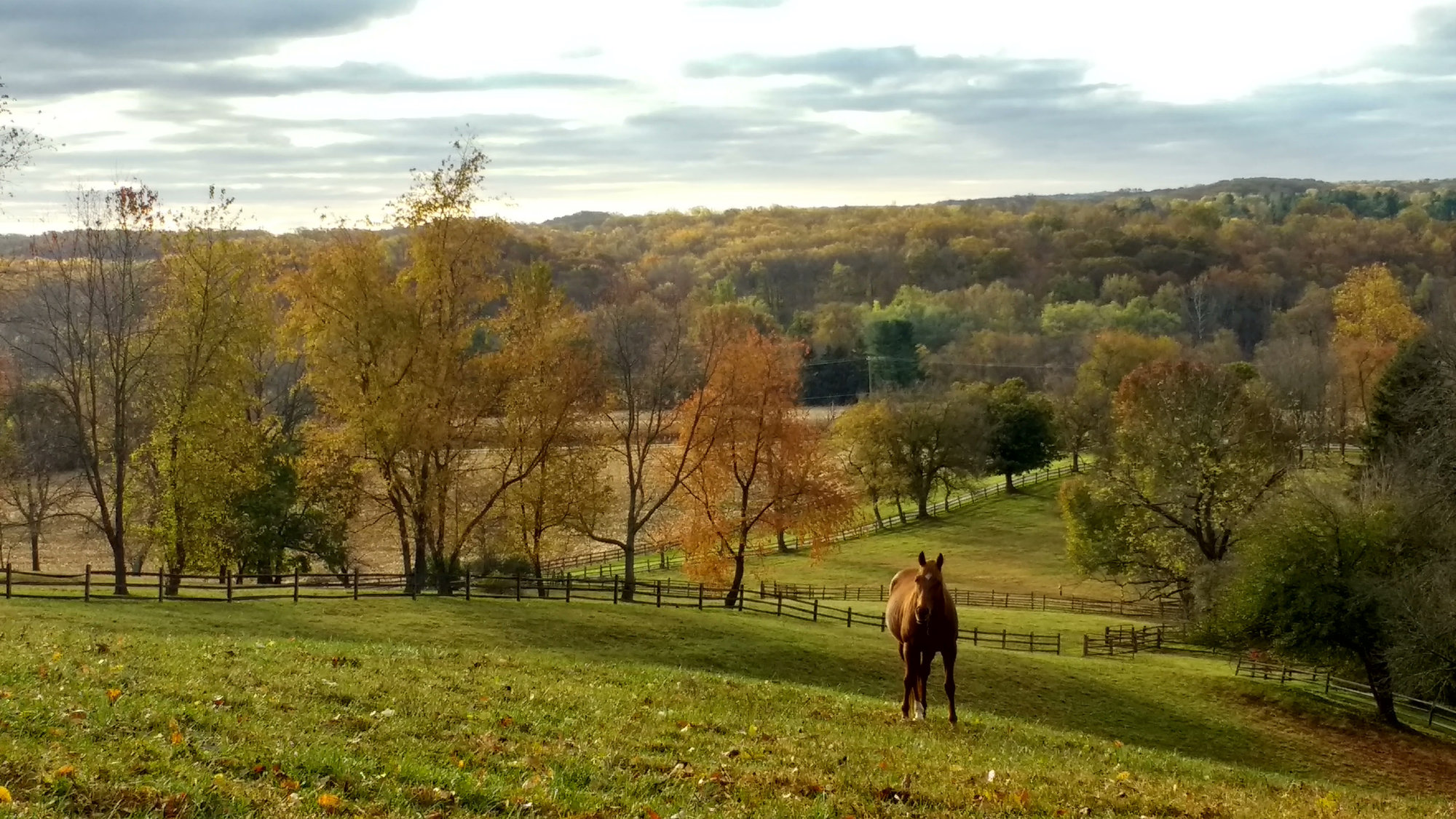 Autum Season Fairview TN
