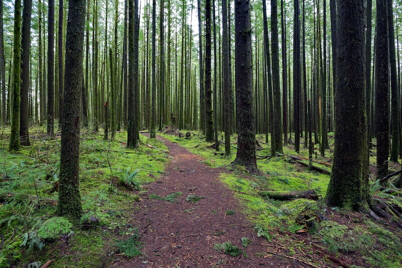 Hike at Golden Ears Provincial Park in Maple Ridge, BC