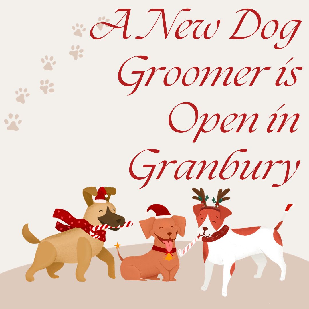 A New Dog Groomer is Open in Granbury