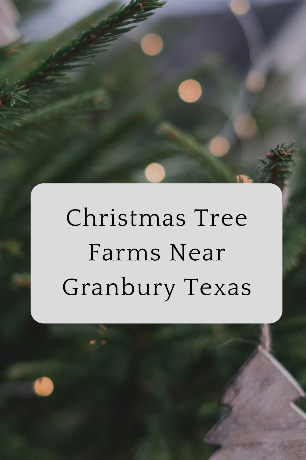 Christmas Tree Farms Near Granbury Texas
