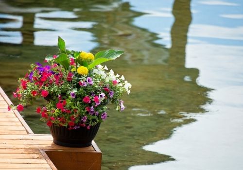 Container Gardening Tips for Lake Docks