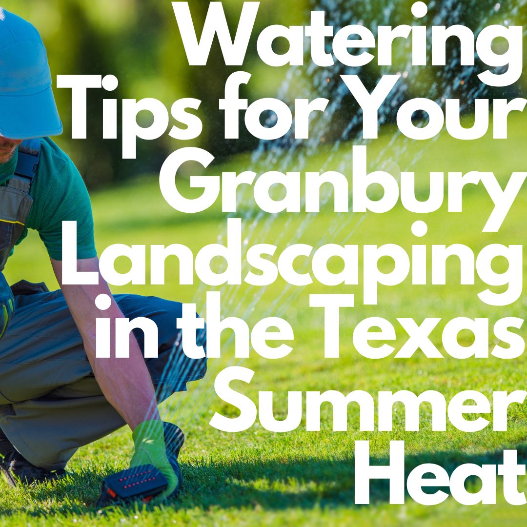 Watering Tips for Your Granbury Landscaping in the Texas Summer Heat