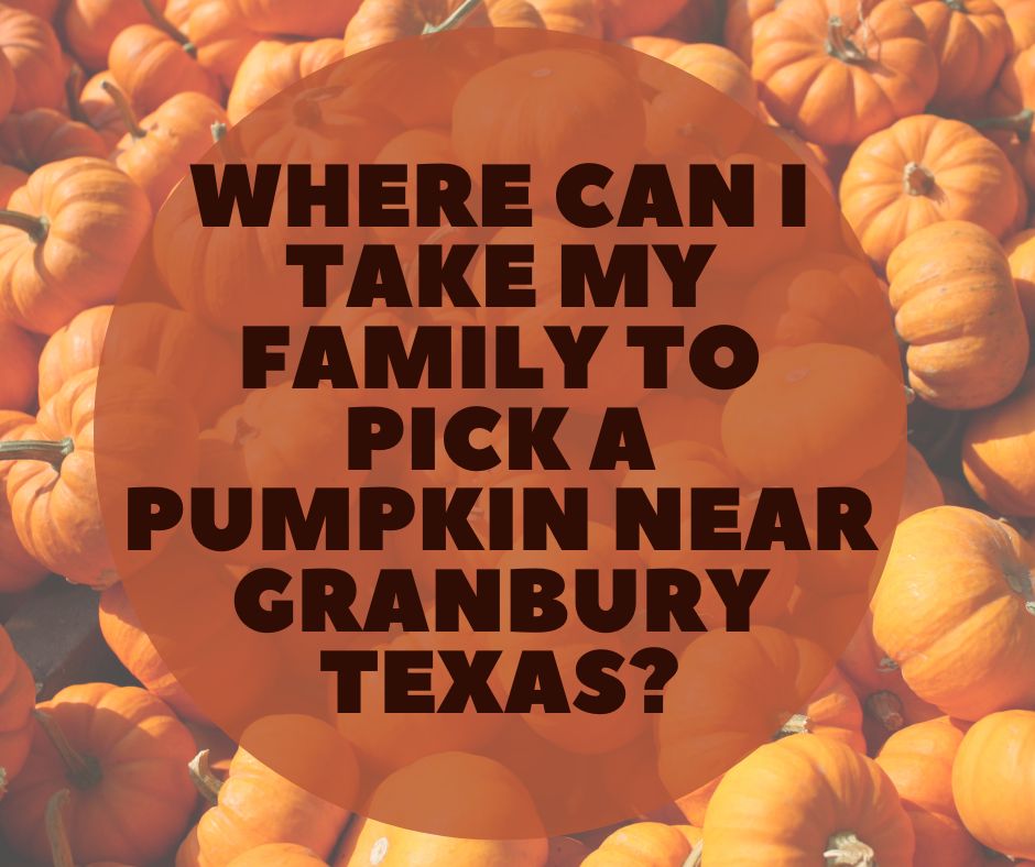 Where can I Take my Family to Pick a Pumpkin Near Granbury Texas?