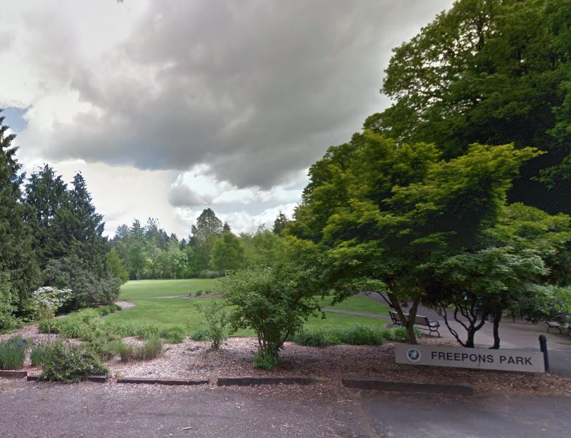 homes for sale in Hallinan Lake Oswego