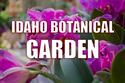 Learn more about Idaho Botanical Garden