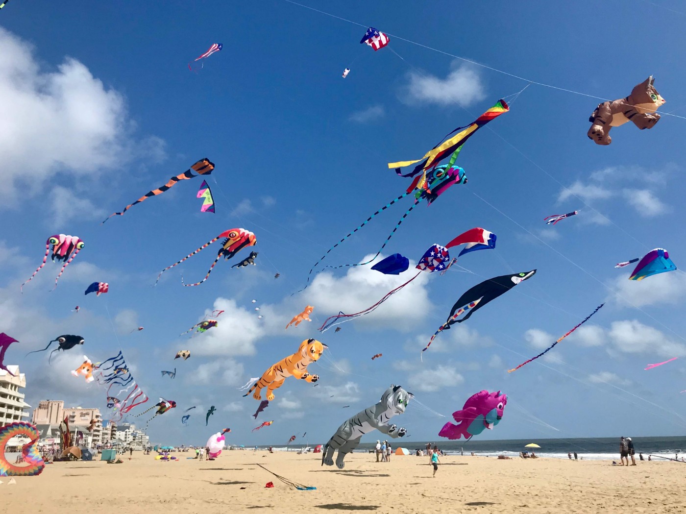 Maryland-International-Kite-Festival