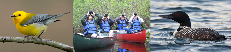 Spring-Birding-Weekend