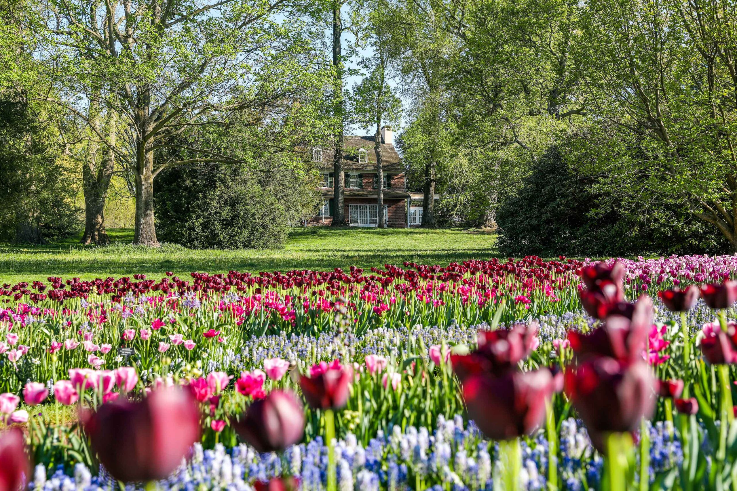 Longwood-Gardens-Spring-Blooms-scaled