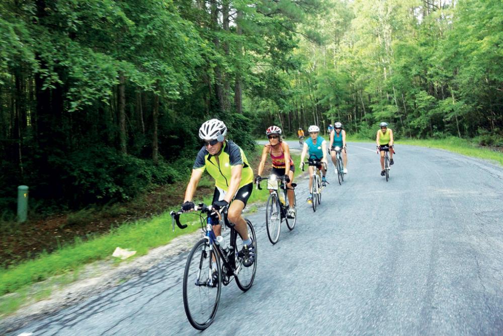 People Riding Bicycles