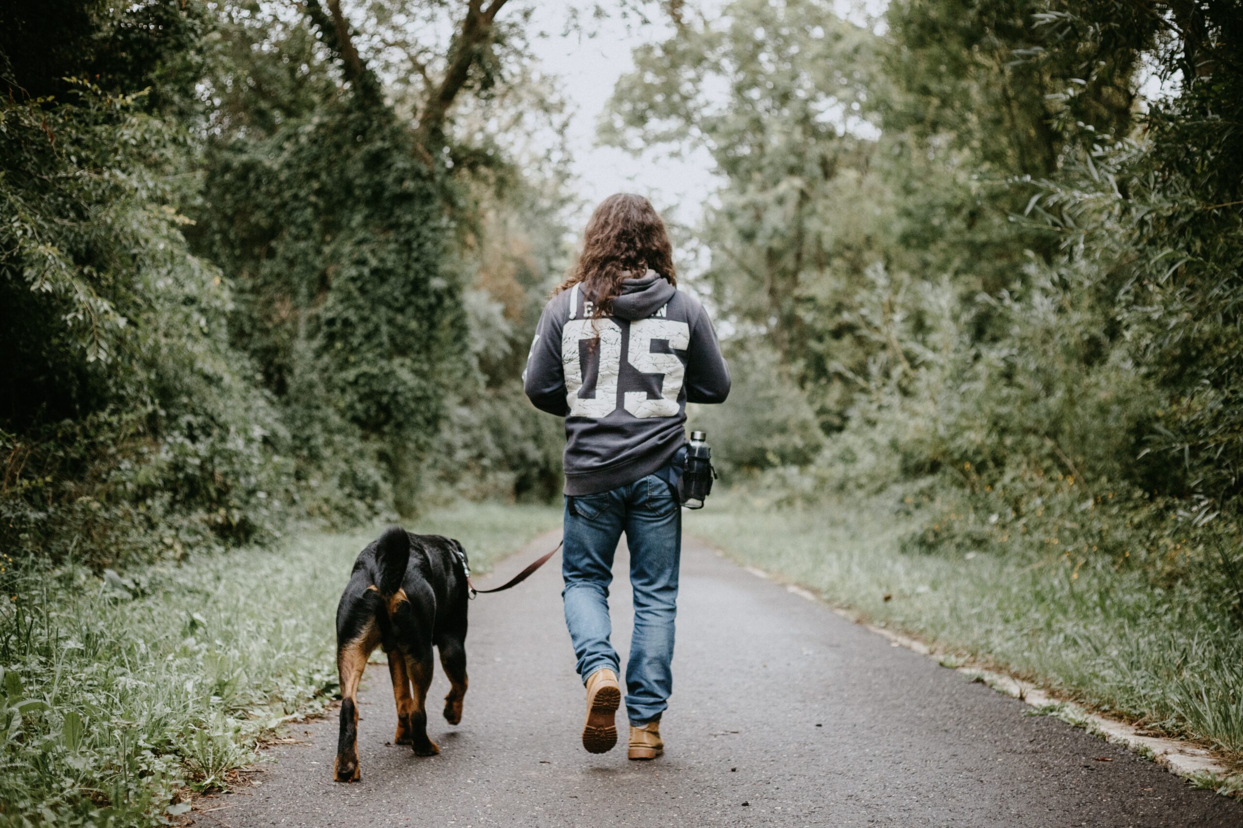 Dog and Owner Walking