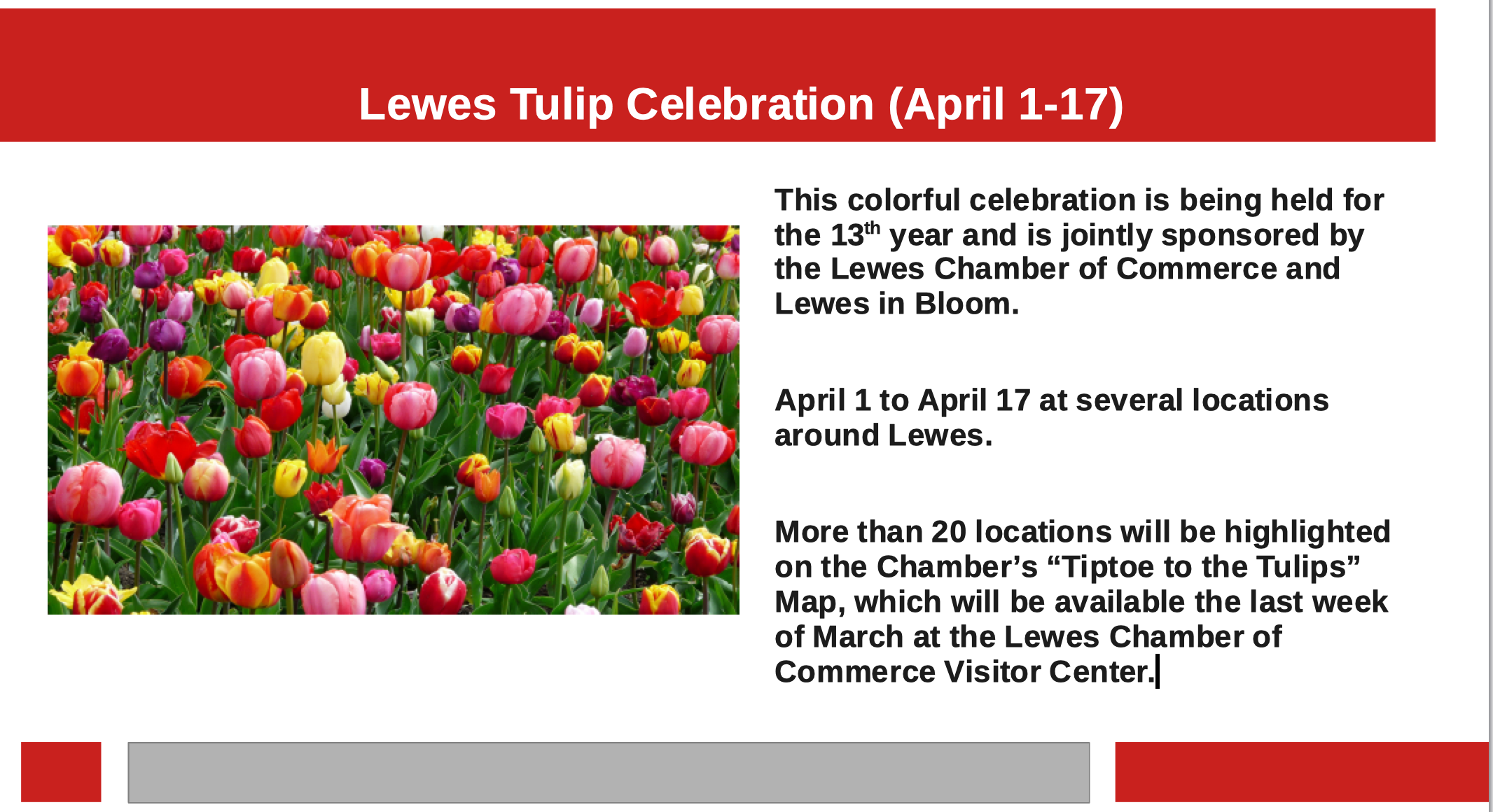 Lewes Tulip Celebration 2022