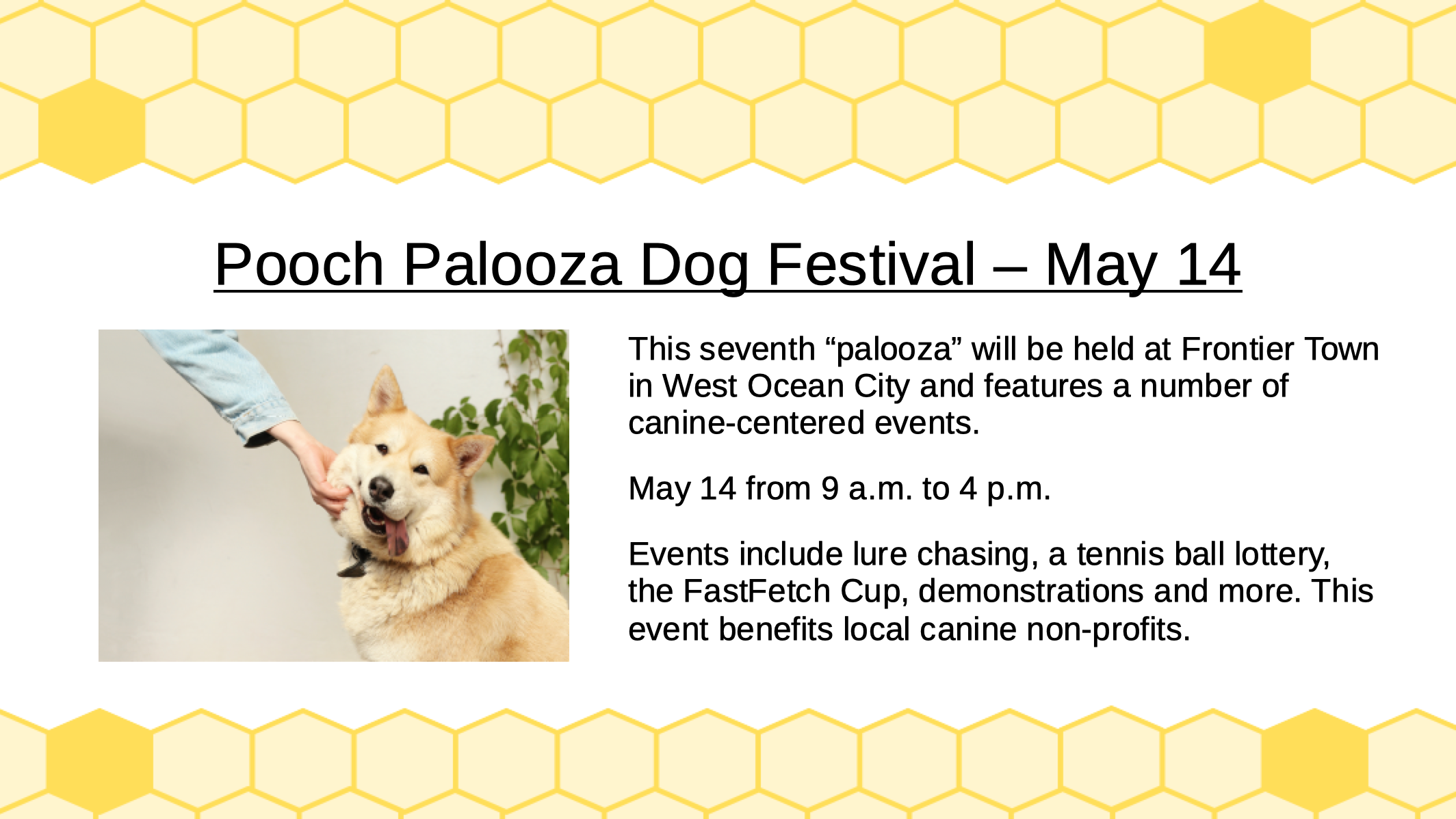 Pooch Palooza Dog Festival Preview Tile