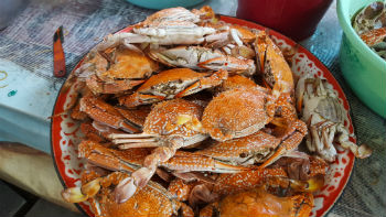 Ocean City MD steamed crabs make Ocean City real estate exciting