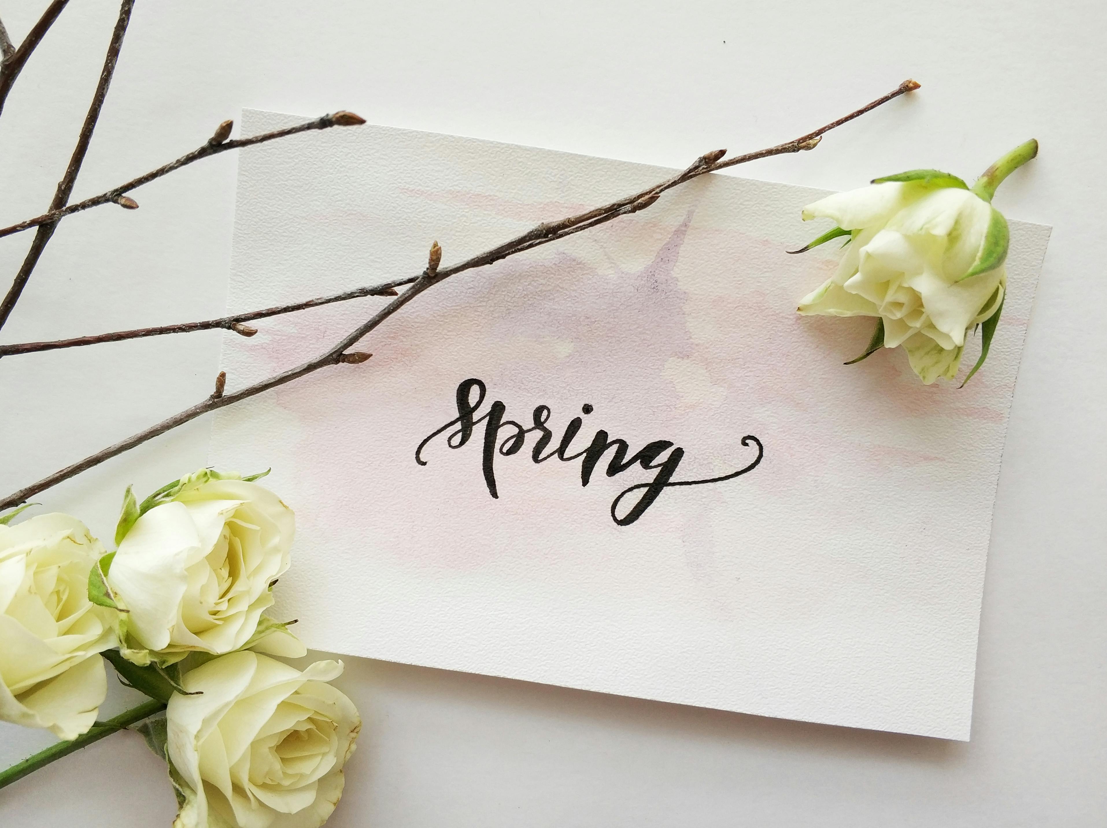 Spring Image
