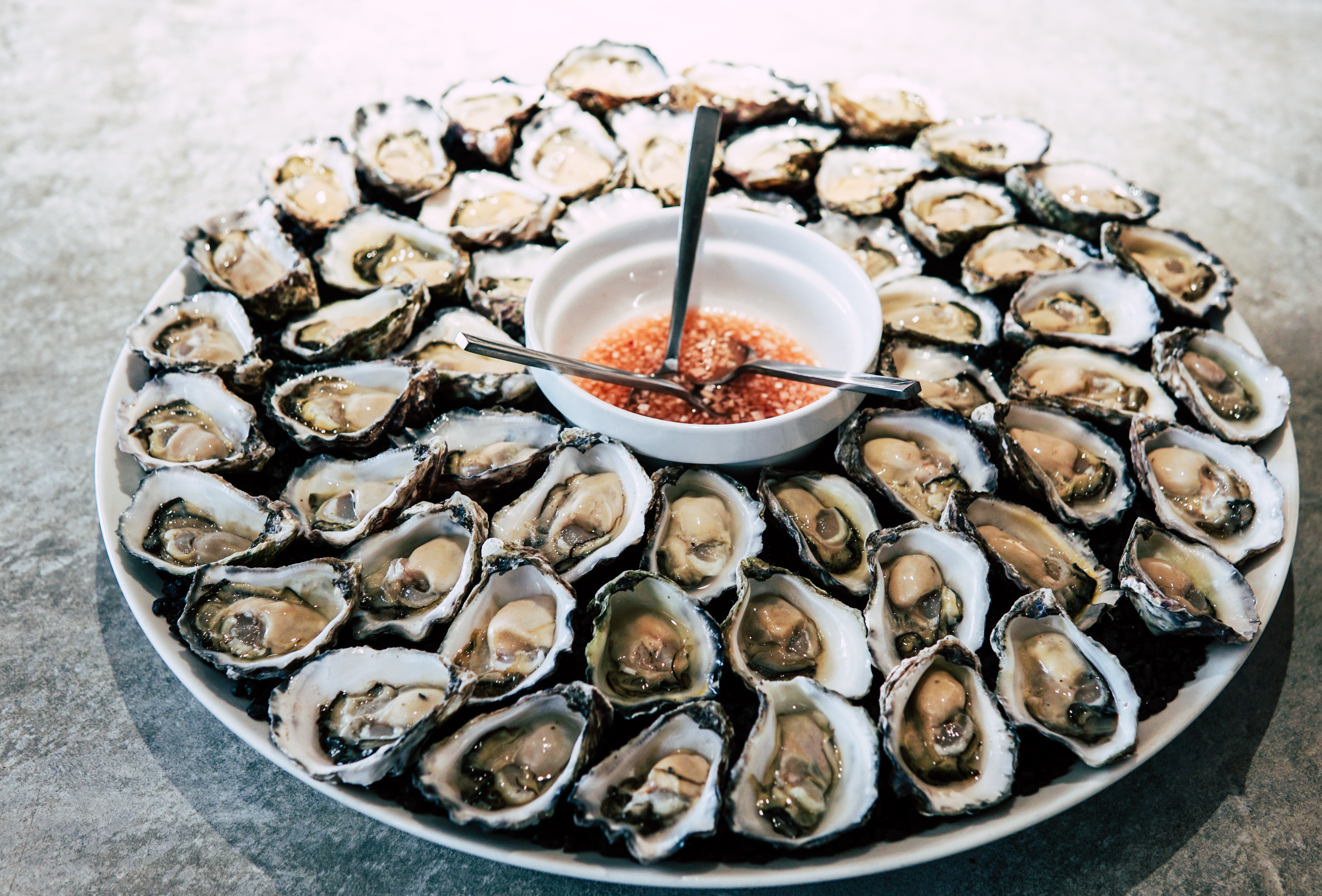 Plate of Oysters