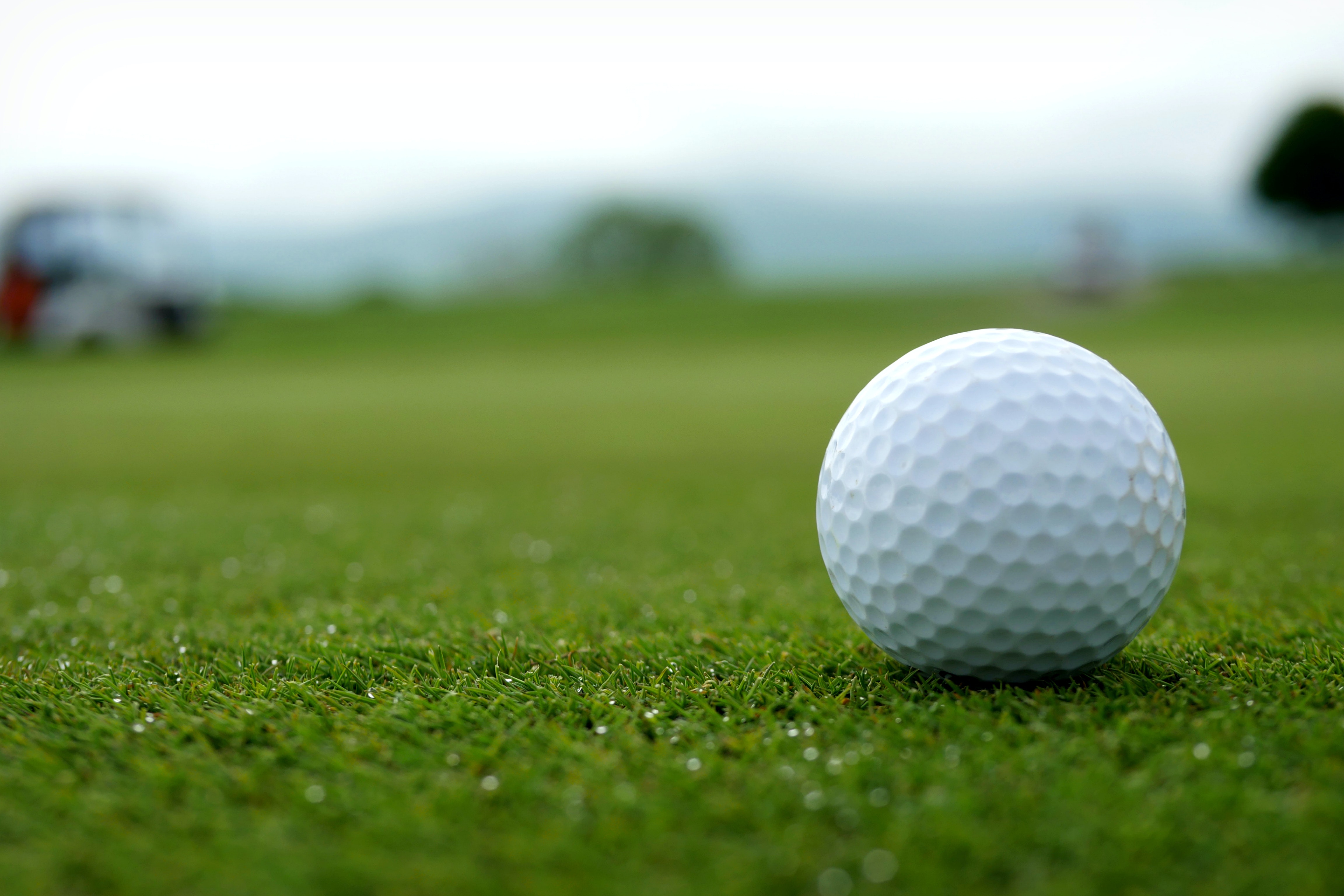 Golf Ball on Green