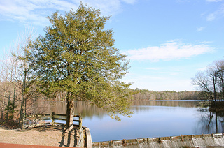 Trap Pond State Park - Image Credit: http://www.flickr.com/photos/leecannon/6854180481/