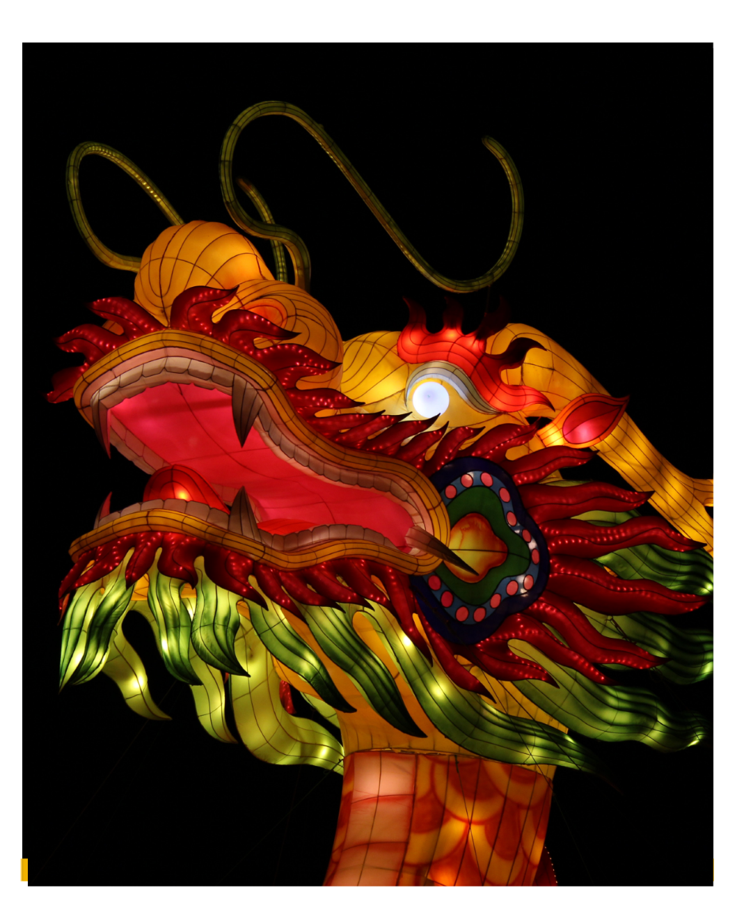 Beautiful image of a Chinese Wood Dragon for Chinese New Year of the Dragon