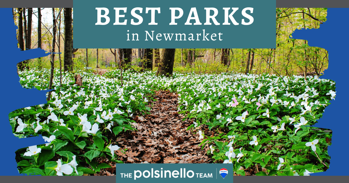 Best Parks in Newmarket