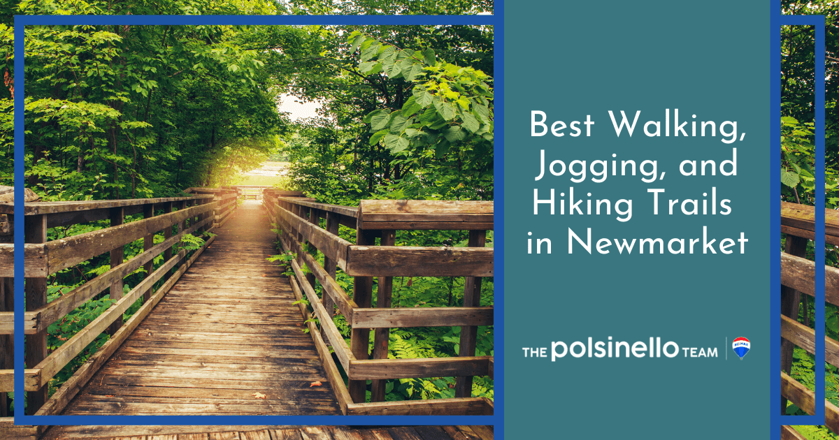 Best Walking and Jogging Trails in Newmarket
