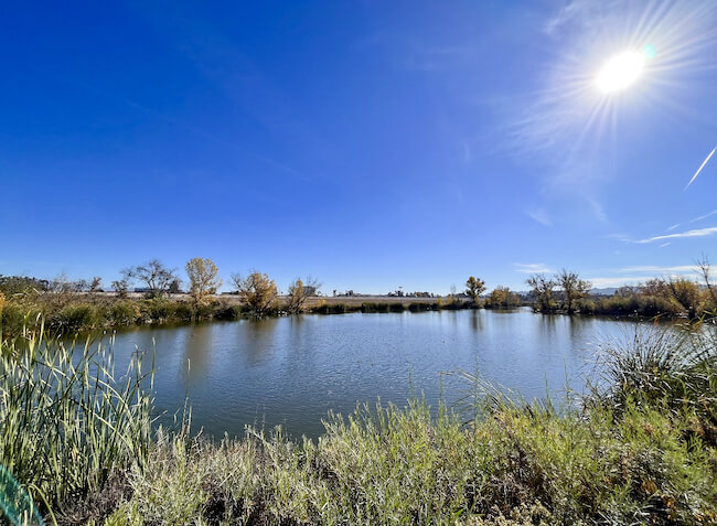 View of Lake Balboa, Los Angeles, California