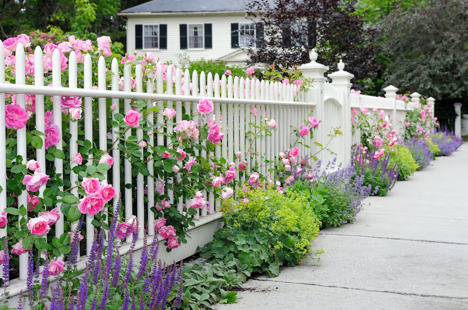 7 Budget-Friendly Curb Appeal Ideas